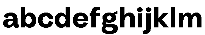 Radial Bold Instance FONT