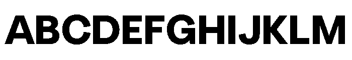 Radial Bold Font UPPERCASE