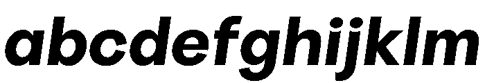 Radial BoldItalic Instance 9a312f46 FONT