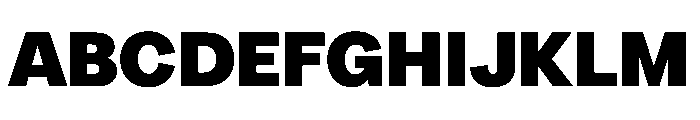 Radial Heavy Instance Font UPPERCASE