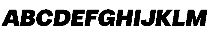 Radial HeavyItalic Instance Ad9a7476 Font UPPERCASE