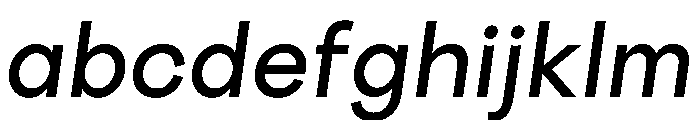 Radial RegularItalic Instance Ea8d5557 FONT