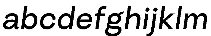 Radial RegularItalic Instance FONT