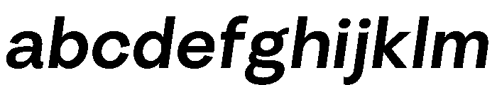 Radial SemiBoldItalic Instance FONT