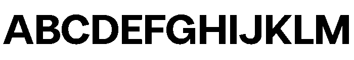 Radio Grotesk Ultrabold Font UPPERCASE