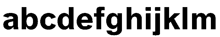 Rag Bold FONT