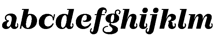 RaimStandard BoldItalic FONT
