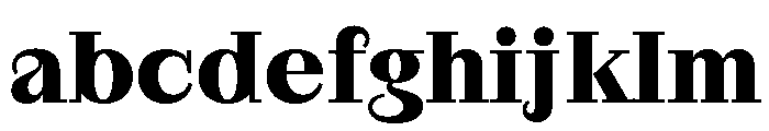 RaimStandard Bold FONT