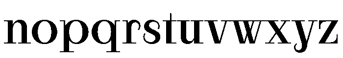 RaimStandard Medium Font LOWERCASE