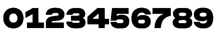 RapidST Black Font OTHER CHARS