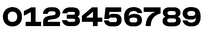 RapidST Bold Instance Font OTHER CHARS