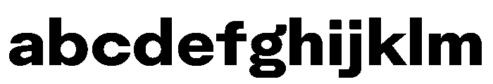 Rauschen A Bold Regular Webfont B863c1ba FONT