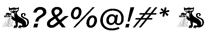 Rauschen A Book Italic Regular Webfont 2dd49527 Font OTHER CHARS