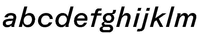 Rauschen A Book Italic Regular Webfont 2dd49527 FONT