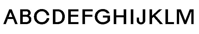 Rauschen A Book Regular Webfont 9a038137 Font UPPERCASE