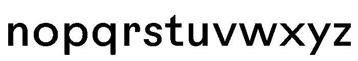 Rauschen A Book Regular Webfont 9a038137 Font LOWERCASE