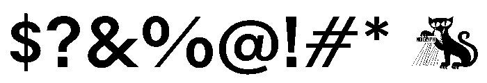 Rauschen A Medium Regular Webfont Font OTHER CHARS