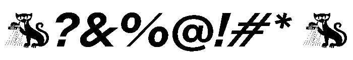 Rauschen A Semibold Italic Regular Webfont 8d209989 Font OTHER CHARS