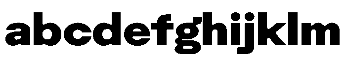 Rauschen B Black Regular Webfont FONT