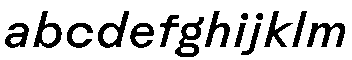 Rauschen B Book Italic Regular Webfont FONT