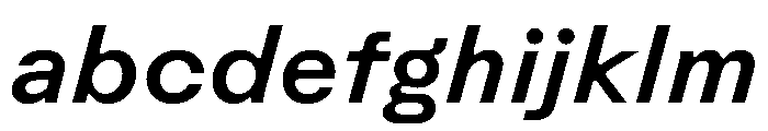 Rauschen B Medium Italic Regular Webfont 329633fd FONT