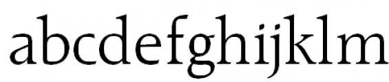 Raleigh Light FONT