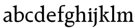 Raleigh Medium FONT