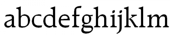 Raleigh Roman FONT