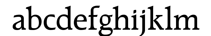 RaleighLTStd-Medium Font LOWERCASE