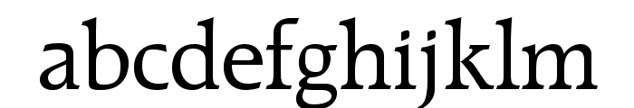RaleighLTStd Font LOWERCASE