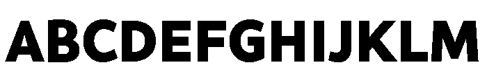 Range Sans Black Font UPPERCASE