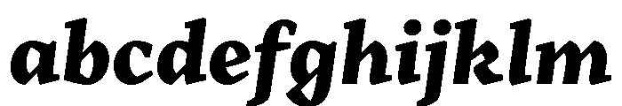 Range Serif Black Italic FONT