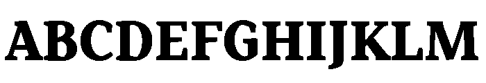 Range Serif Black Font UPPERCASE