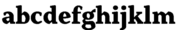 Range Serif Black FONT