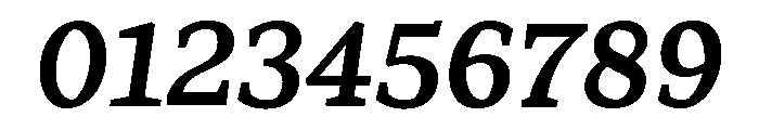 Range Serif Bold Italic Font OTHER CHARS