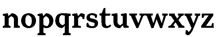 Range Serif Bold Font LOWERCASE