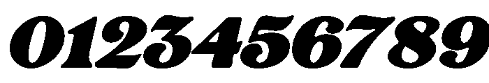 Rashfield Bold Italic Font OTHER CHARS