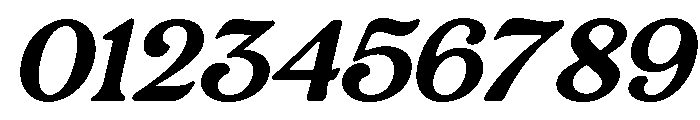 Rashfield Regular Italic Font OTHER CHARS