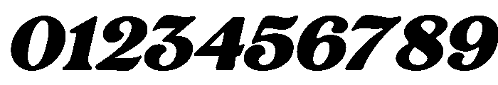 Rashfield Semi Bold Italic Font OTHER CHARS