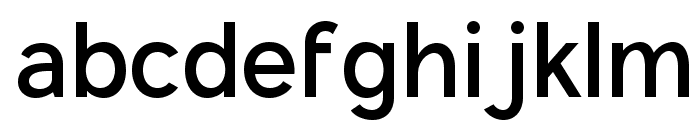 Arkiv Regular Font LOWERCASE