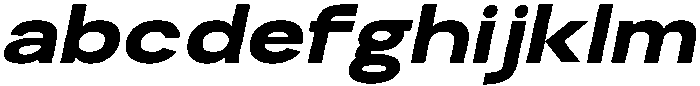RCL Sentino Expanded Italic Black otf (900) FONT