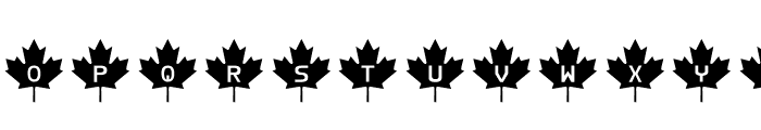 RCMP Font LOWERCASE