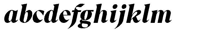 RCL Prime Serif Black Italic FONT