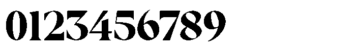 RCL Prime Serif Extra Bold Font OTHER CHARS