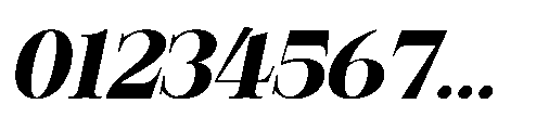 RCL Veluxa Serif Black Italic Font OTHER CHARS