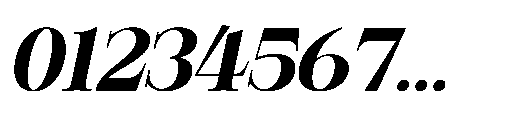 RCL Veluxa Serif Extra Bold Italic Font OTHER CHARS