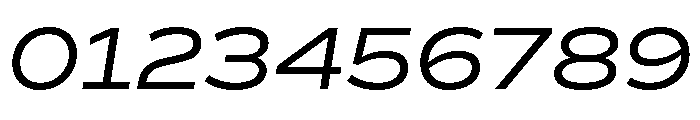 Reross Italic Font OTHER CHARS