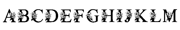 Rebecca Regular FONT
