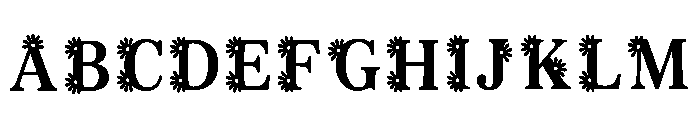 Receipt Regular FONT