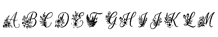 Reed Regular FONT
